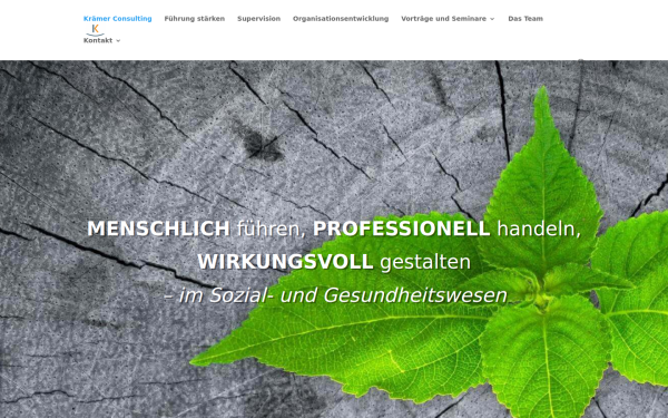 kraemerconsulting.de