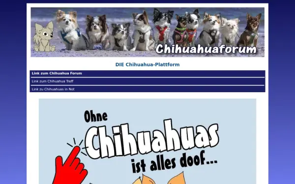 chiforum.de