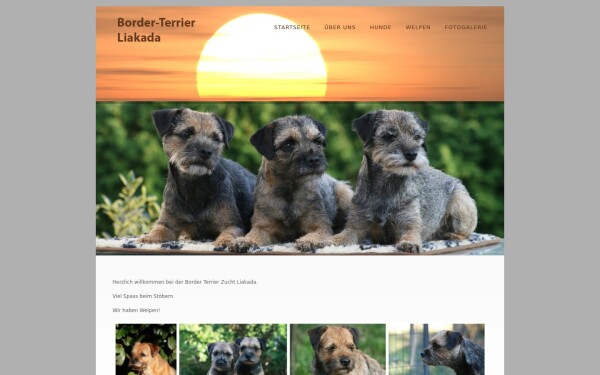 border-terrier-liakada.de