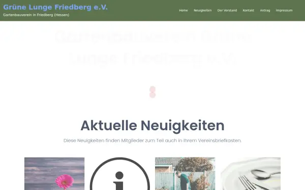 gruene-lunge-friedberg.de
