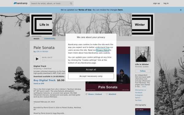 lifeinwinter.bandcamp.com