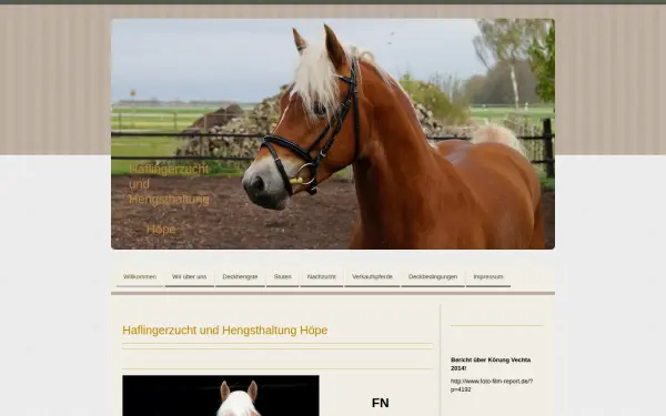 www.haflinger-hengst.de