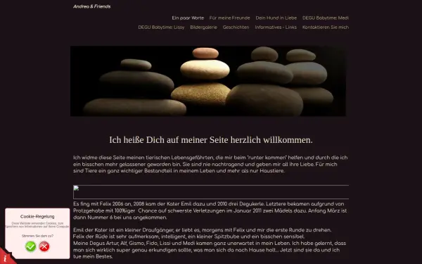 andreaschnock.de