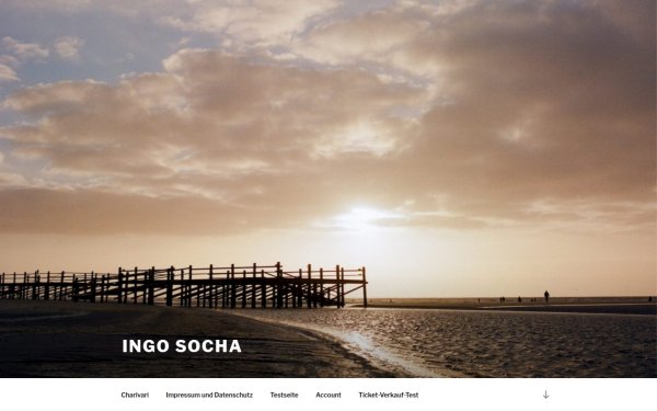 ingosocha.de