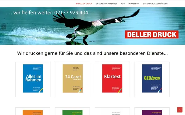dellerdruck.de