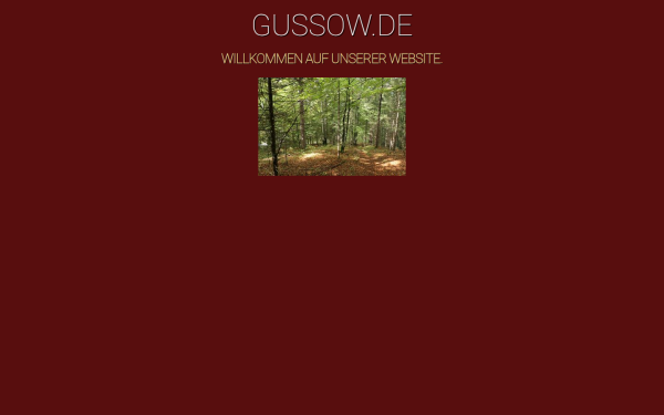 gussow.de