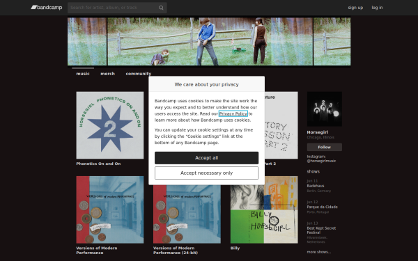 thisishorsegirl.bandcamp.com