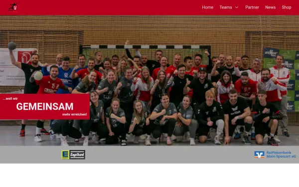 www.handball-partenstein.de