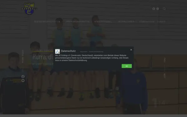 handball-in-eching.de