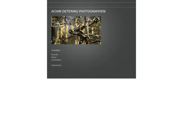 achim-detering.de