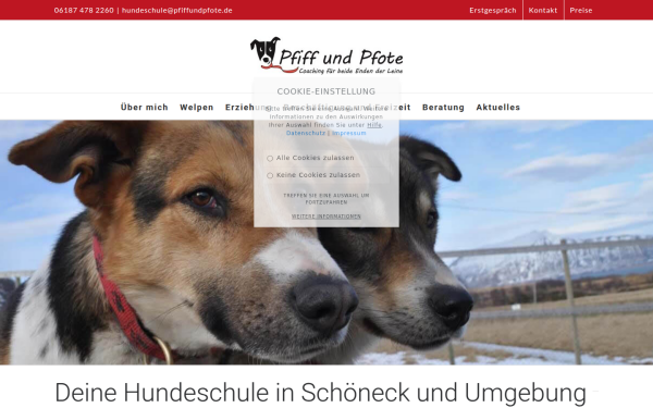 www.hundeschule-pfiff-pfote.de