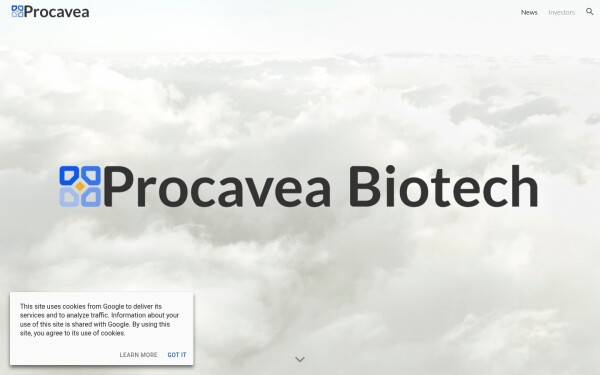 www.procavea.com