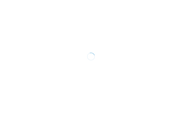 auto-singler.de