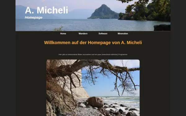 amicheli.de