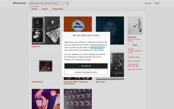 boyhoodsongs.bandcamp.com