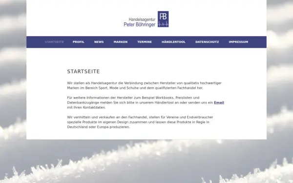 agentur-boehringer.de