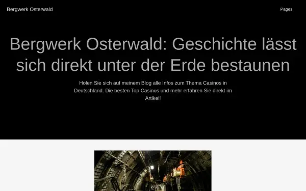www.bergwerk-osterwald.de