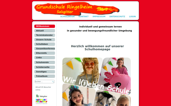 gs-ringelheim.de