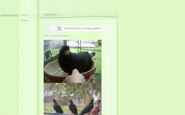 qerims-taubenwelt.de