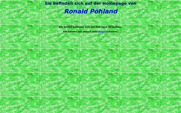 mecs-ronald-poehland.de
