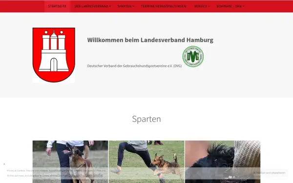 www.dvg-lv-hamburg.de