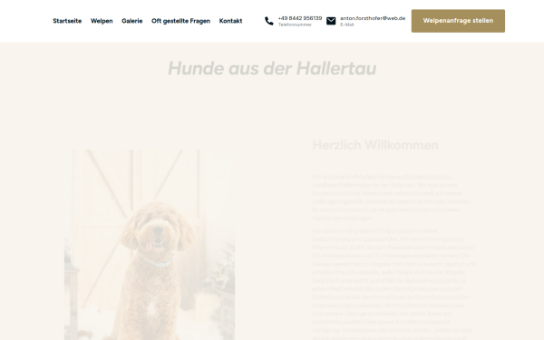 goldendoodle-hallertau.de