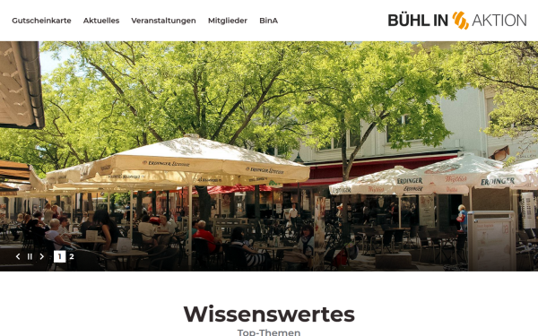 www.buehlinaktion.de
