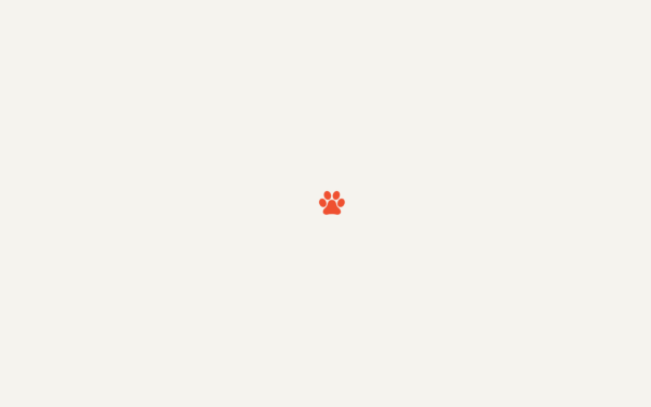meetdogs.de