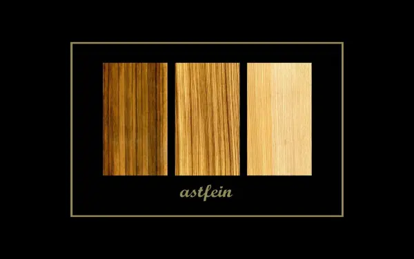 astfein.de