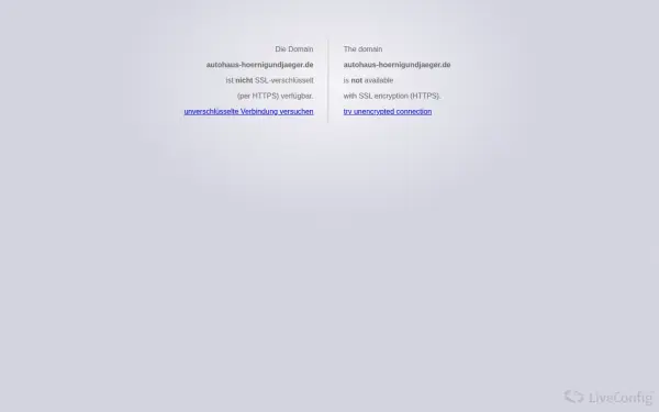 autohaus-hoernigundjaeger.de
