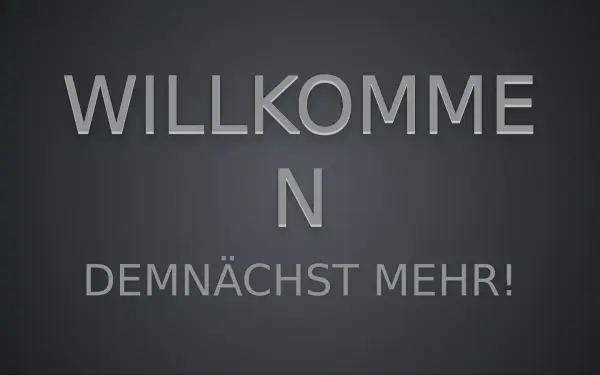 digitalsiebdruck.de