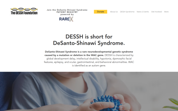 de.dessh.org