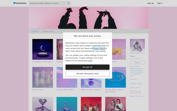feelsmusic.bandcamp.com