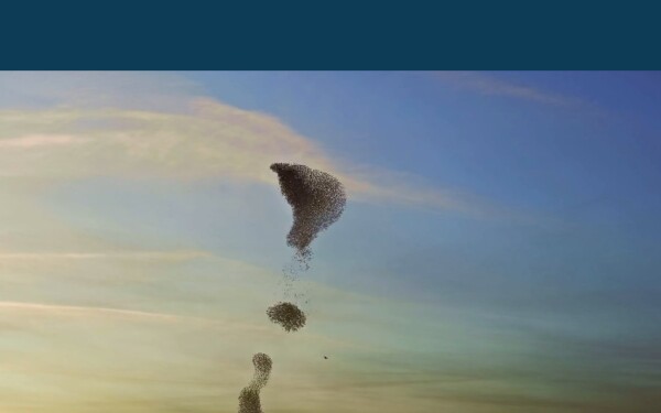www.breathq.academy