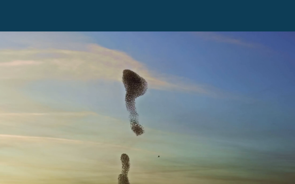 www.breathq.academy
