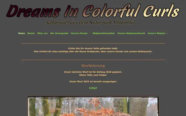 www.dreams-in-colorful-curls.de