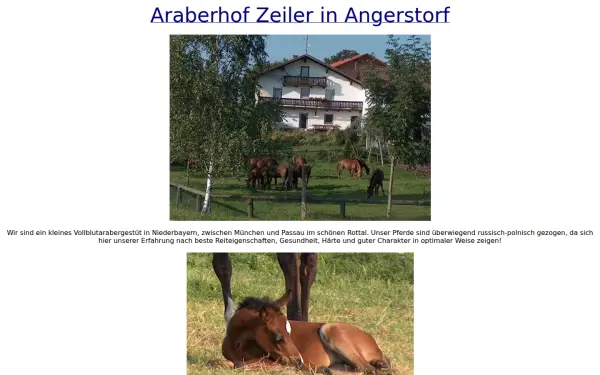 araberhof-zeiler.de