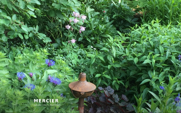 mercier.de