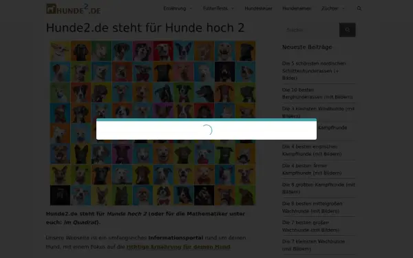hunde2.de