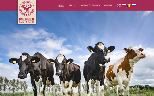 www.mehlex.de
