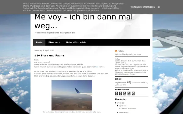 mevoy-m.blogspot.com