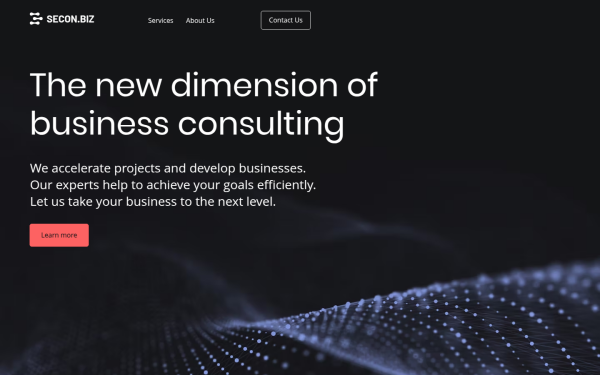 www.secon.biz