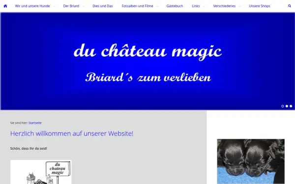 mein-briard.de