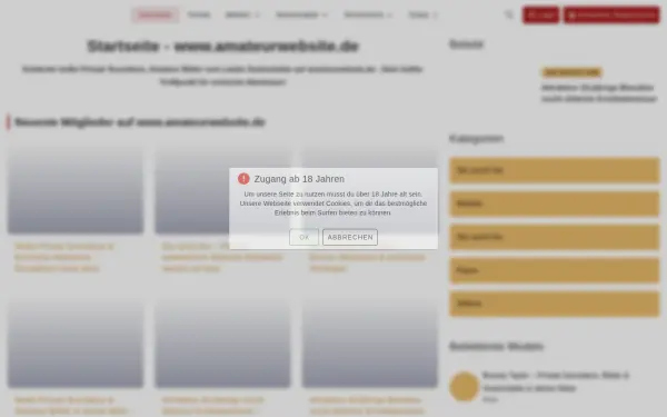 www.amateurwebsite.de