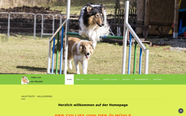collies-von-der-oelmuehle.de