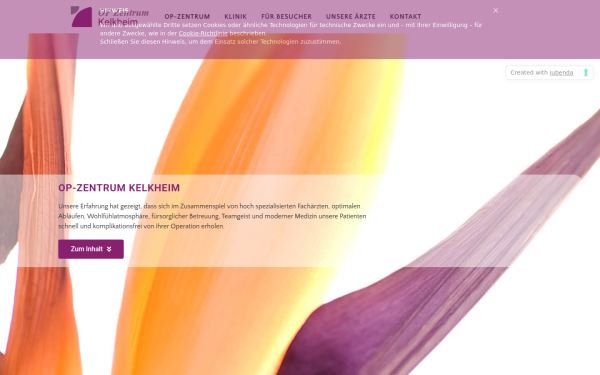 op-kelkheim.de