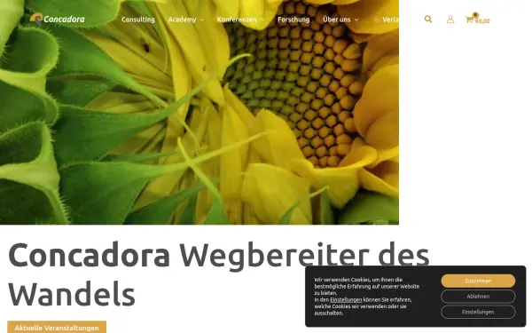 concadora.com