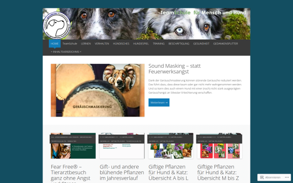 teamschule.blog