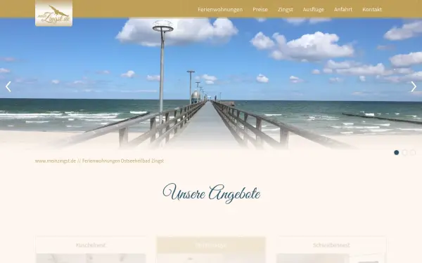 www.meinzingst.de