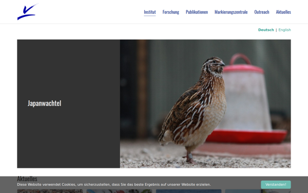 ifv-vogelwarte.de